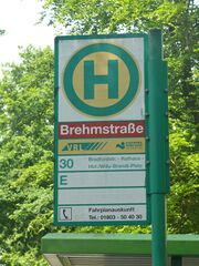 HSS Brehmstrasse.jpg