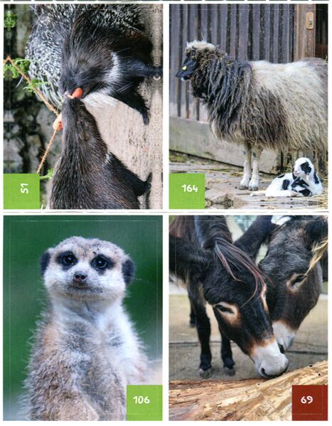 Datei:Tierpark Sticker2.jpg