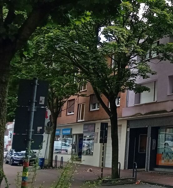 Datei:2024 Nassauerstr 25 27.jpg