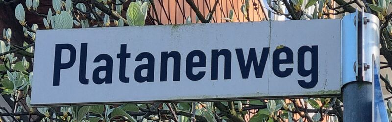 Datei:Platanenweg 800x250 20250419.jpg