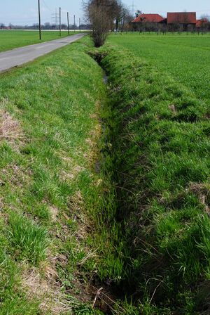 Bild Wambelner Grenzgraben