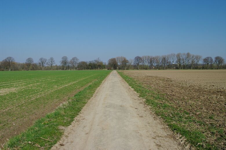 Straße-PE18 Richtung Wilhelm-Lange-Straße