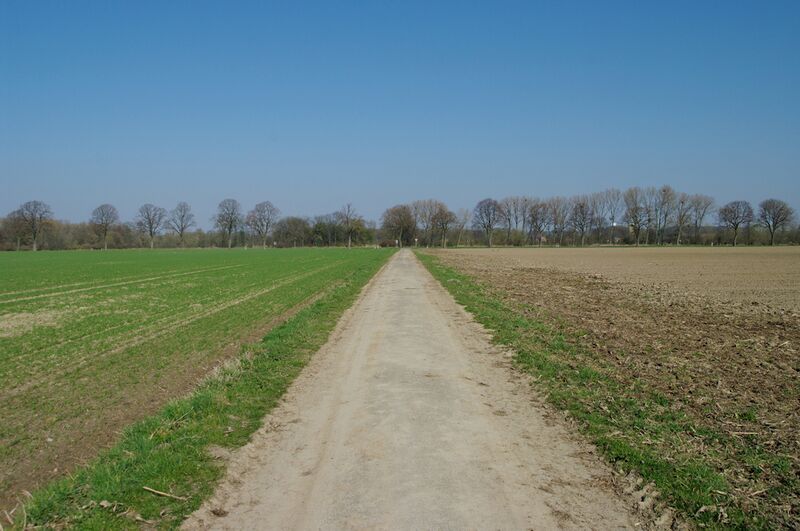 Datei:Strasse PE18 01.jpg