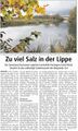 Westfälischer Anzeiger, 3. November 2009