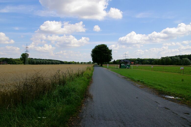 Mesenmark vom Klosterhof aus