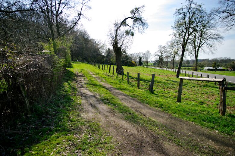 Straße-RH110 von Im Zengerott aus