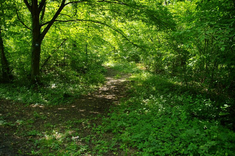 Straße-UE45 von der In der Geithe aus